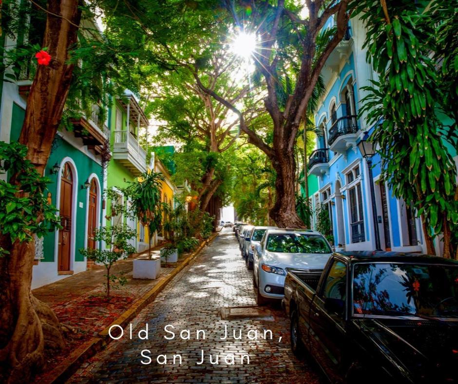 Bee Inn Puerto Rico Charming Urban Apartment In San Juan Esterno foto